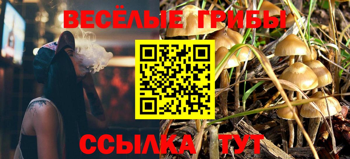 Псилоцибиновые грибы MAGIC MUSHROOMS Дзержинск